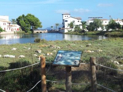 La Gola House Leilighet Port de Pollença Eksteriør bilde